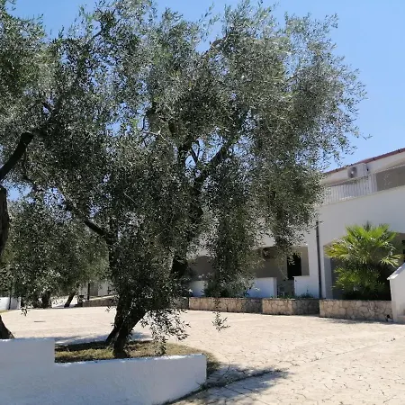 Case vacanze Villa Elisa-3